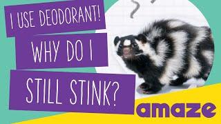 I Use Deodorant Why Do I Still Stink? #AskAMAZE