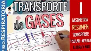 TRANSPORTE DE GASES O2 CO2 en TEJIDOS SANGRE y ALVÉOLO RESUMEN Fisiología Respiratoria 1