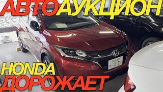 ЗА КОПЕЙКИ ЯПОНЦЫ СВОИ АВТО УЖЕ НЕ ОТДАДУТ HONDA STEPWGN FREED VEZEL STREAM TOYOTA C-HR