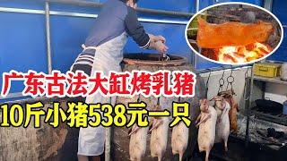 广东佛山古法大缸烤乳猪，一次烘干12只，10斤小猪538元一只！【唐哥美食】