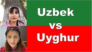 Uzbek VS Uyghur  Language comparison basic phrases