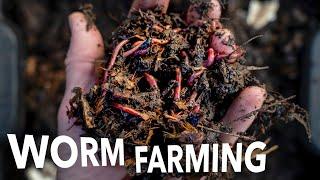 Vermicompost and Worm Breeding at Any Scale  Arizona Worm Farm