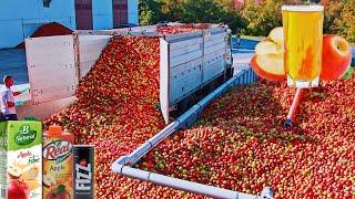 How APPLE JUICE is Made IN FACTORIES  Modern Fruit Juice Making Technology