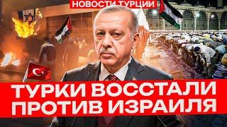 Новости Турции  Турки против Израиля  Палестина  Сектор Газа  Саудовская Аравия  ОАЭ