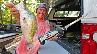 Summer Crappie Fish Dip Catch & Cook