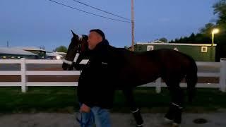 Simplification - Assistant Trainer Jesus Prada   “CHINO “ to Trainer Antonio Sano