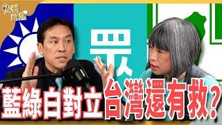 極端支持者嚇壞一般人！ 政治冷感其實是常態？    ft.資深媒體人 黃暐瀚 @hance63   斐姨所思【阿姨想知道】 EP 176