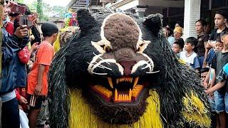 CAN MACANAN TAMPIL DI SUMBERWARU  NEW MAONG REMAS  LION DANCE OF JAVA