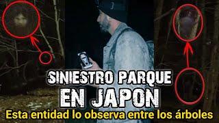 ENTIDAD SE ENCONTRABA ASECHÁNDOLO ENTRE LOS ÁRBOLES – EL SINIESTRO PARQUE EN JAPÓN