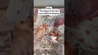 CAT MEMES The stages of me and my boyfriend sleeping #catmemes #relatable #relationship