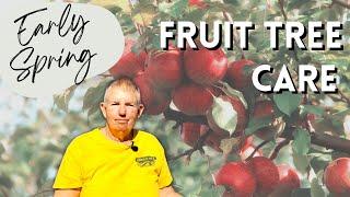 Early Spring Fruit Tree Care  How to Prepare Your Fruit Trees for Spring