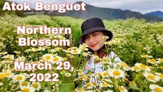 Part 1 Atok Benguet Northern Blossom Travel 032922 #Atok #Benguet #NorthernBlossom #sniper155