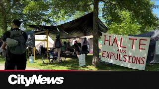 Montreal encampment protesting housing crisis gets dismantled