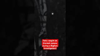 Fairy Caught on Thermal Camera During a Bigfoot Investigation Squatch Watchers Shorts