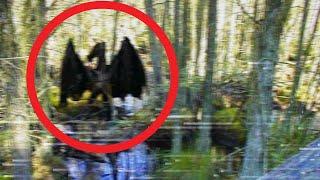 Top 5 Scary Jersey Devil Sightings Caught On Camera