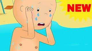 NEW CAILLOU GOES TO THE BEACH  Videos For Kids  Funny Animated Videos For Kids