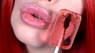 ASMR ️ Licking Scorpion Lollipop  4k