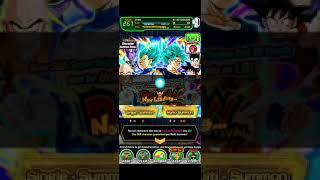 DOKKAN BATTLE ULTIMATE SUCCESS LR BLUE BOYS PULLED