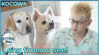 Crush is back with Duyu and Rose l Home Alone Ep 463 ENG SUB