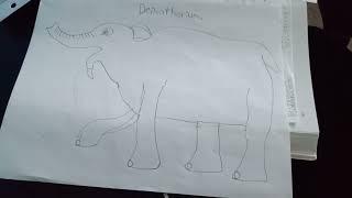 Deinotherium Facts Look in the Description for the Information.