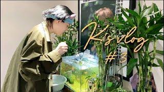 THE9 陆柯燃 LuKeRan 陆柯燃微博更新 K‘s vlog #3 小陆养鱼记 第一集