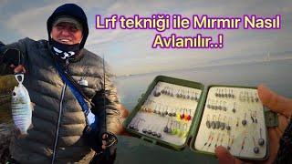 Lrf Tekniği ile Mırmır Nasıl AvlanılırBu merada mırmır kaynıyorFİSH UP TANTA SOFT BAİT Crush fishing