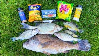 Fishing for Dinner - Bluegill Bass and Drum Cookout