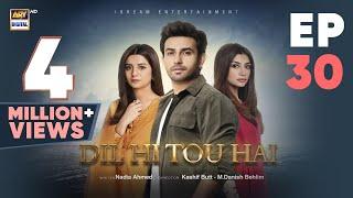 Dil Hi Tou Hai Episode 30  6 November 2023 Eng Sub ARY Digital Drama