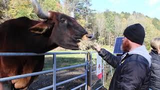 Brattleboros Retreat Farm