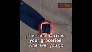 Incredible grocery carrying robot