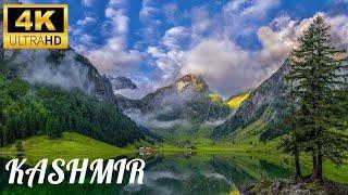 Kashmir  Most Beautiful Place in India  Mini Switzerland 4k Video