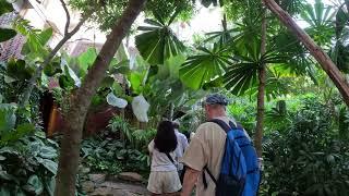 Jim Thompson House Bangkok Part 1