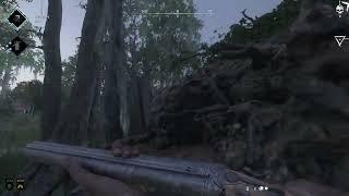 Hunt  Showdown   Flushed him out