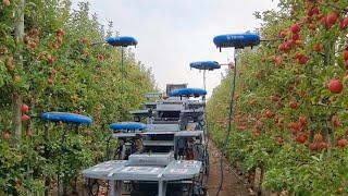 Israel enlists drones AI and big data to farm for the future  AFP
