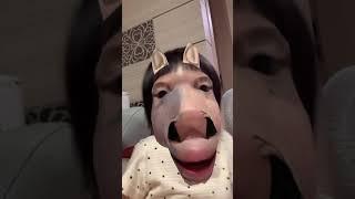 Baby face turn into horse face Instagram reels #shorts #reels #funny