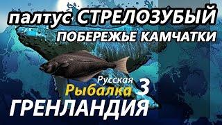 Палтус Стрелозубый Побережье Камчатки РР3 Русская Рыбалка 3 Гренландия