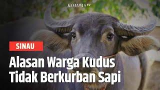 Warga di Kudus Selama Ini Tidak Berkurban Sapi saat Iduladha Kenapa?SINAU