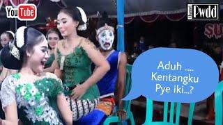 Pardi Kucing Obat Awet Muda  Tayub Grobogan @Pwdd Channel