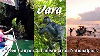 Java Tolle Landschaft in Pangandaran mit Green Canyon und Nationalpark und Meer