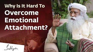 Why Is It Hard To Overcome Emotional Attachment?  Sadhguru