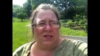 Gardening for Weight Loss Staying Positive Working in Spurts