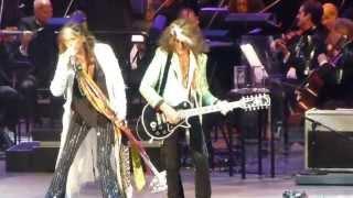 Steven Tyler & Joe Perry  I Dont Want to Miss a Thing Hollywood Bowl 6- 22-13