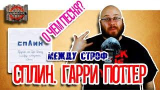 СПЛИН Передайте это Гарри Поттеру. О чём песня? Между Строф #4