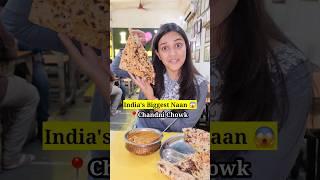 Biggest Naan Of India Kake Di Hatti Honest Review  Chandni Chowk #trending #viral #food #shorts