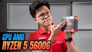 Trên Tay Và Đánh Giá Nhanh CPU AMD Ryzen 5 5600G