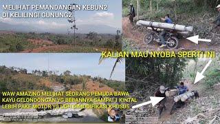 SUASANA PMANDANGN KEBUN2.G SENGAJA MELIHAT SORANG PEMUDA BAWA KAYU GELONDONGAN PKE MTOR   