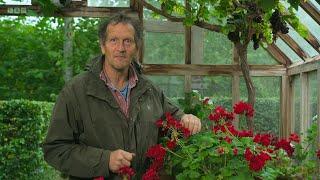 Gardeners World 2023Episode 31