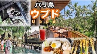 【バリ島2ウブド王道スポットを1日で巡る】FourSeasonsで楽園ランチ️幻のジャコウネココーヒーも️10時間車をチャーター