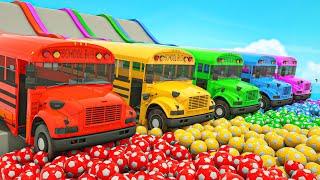 Wheels On the Bus + Baby Shark - A slide and colorful soccer balls -Baby Nursery Rhymes & Kids Songs