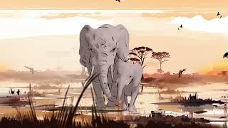 ENOUGH IS ENOUGH - join Born Free in calling for an Elephant Free UK